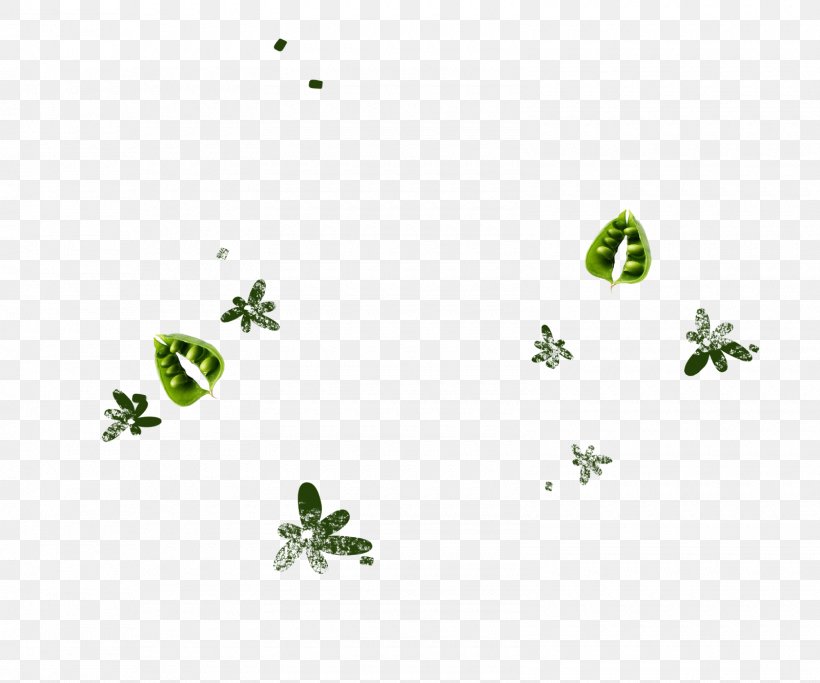 Plant Stem Leaf Body Jewellery Green Font, PNG, 1600x1333px, Plant Stem, Animal, Body Jewellery, Body Jewelry, Branch Download Free