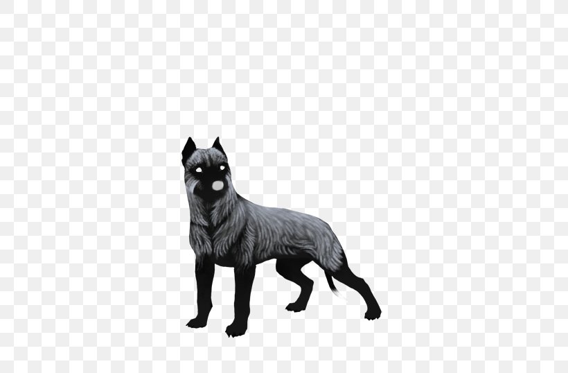 Dog Breed Schipperke American Pit Bull Terrier, PNG, 475x538px, Dog Breed, American Bully, American Pit Bull Terrier, Black And White, Breed Download Free