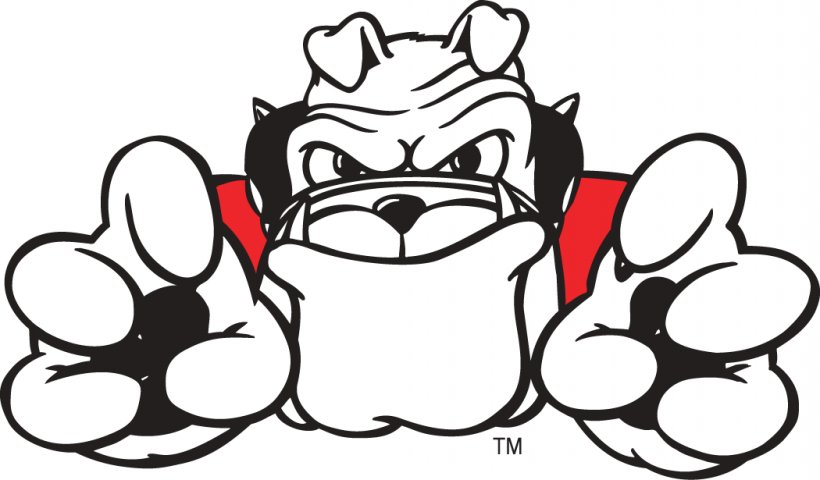Georgia Bulldogs Football Georgia Bulldogs Womens Basketball Georgia Bulldogs Womens Tennis Southeastern Conference, PNG, 1050x615px, Watercolor, Cartoon, Flower, Frame, Heart Download Free