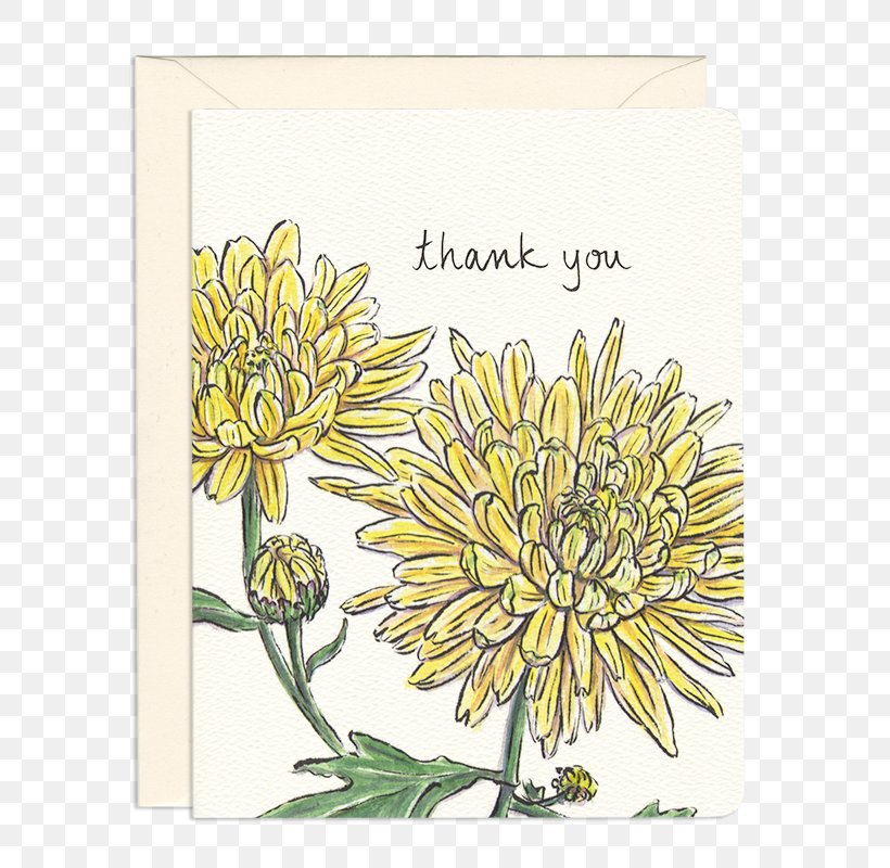 Greeting & Note Cards Birthday Holiday Sunflower M, PNG, 800x800px, Greeting Note Cards, Birthday, Chrysanthemum, Chrysanths, Converse Download Free