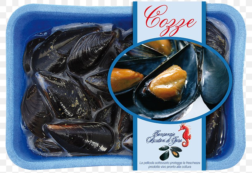 Mussel Clam Oyster Recipe, PNG, 800x564px, Mussel, Animal Source Foods, Clam, Clams Oysters Mussels And Scallops, Food Download Free