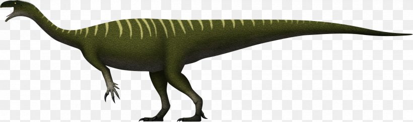 Plateosaurus Velociraptor Rhaetian Xingxiulong Saturnalia, PNG, 2524x754px, Plateosaurus, Animal Figure, Beak, Bipedalism, Dinosaur Download Free