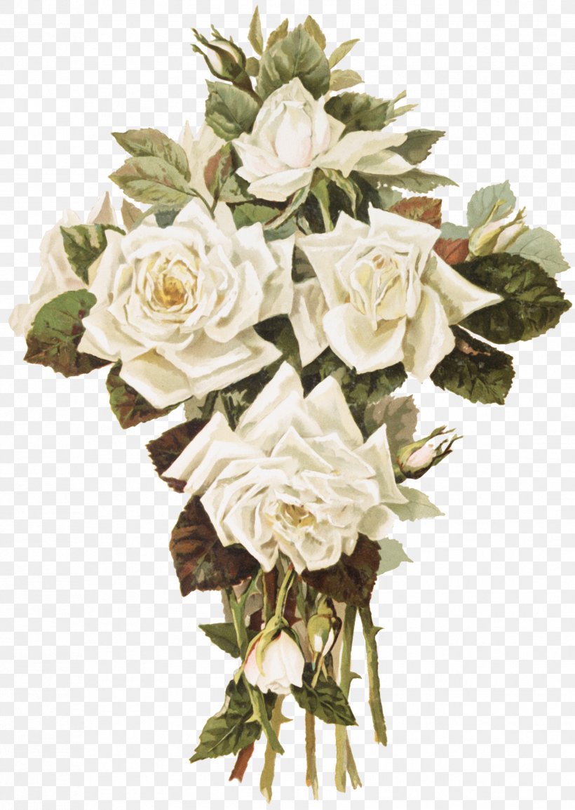 Garden Roses Cut Flowers Floral Design Flower Bouquet, PNG, 1807x2545px, Garden Roses, Art, Artificial Flower, Cabbage Rose, Cut Flowers Download Free