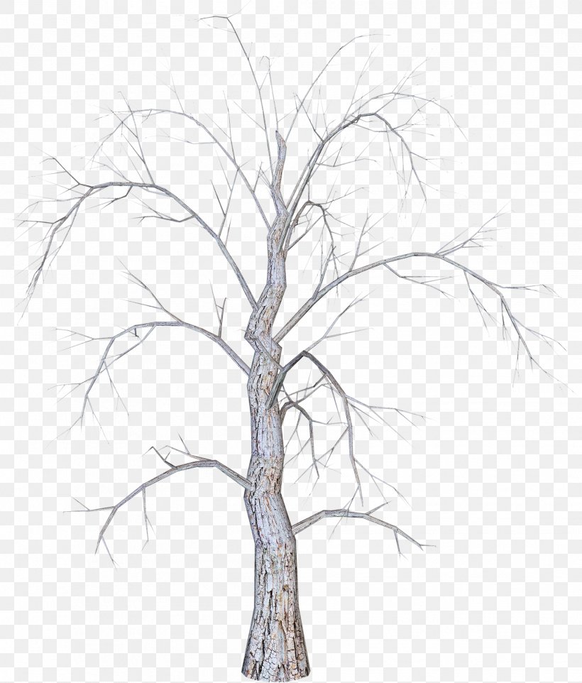 Twig Christmas Tree, PNG, 2013x2362px, Twig, Branch, Christmas, Christmas Tree, Drawing Download Free