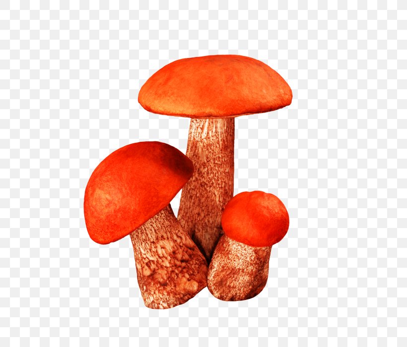 Fungus Raster Graphics Mushroom Clip Art, PNG, 700x700px, Fungus, Aspen Mushroom, Brown Cap Boletus, Edible Mushroom, Ingredient Download Free