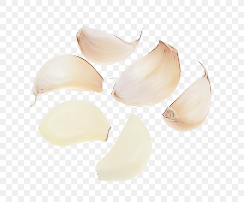 Garlic Shallot, PNG, 680x680px, Watercolor, Garlic, Paint, Shallot, Wet Ink Download Free