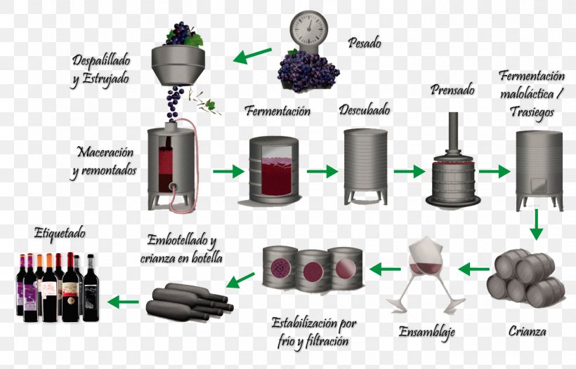 Red Wine White Wine Fermentation In Winemaking, PNG, 1456x934px, Wine, Bottle, Branching, Commodity Chain, Communication Download Free