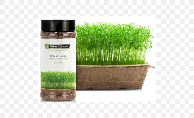 Urban Cultivator Seed Gardening, PNG, 500x500px, Urban Cultivator, Butcher Block, Commodity, Cultivator, Gardening Download Free