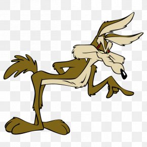 Wile E. Coyote And The Road Runner Looney Tunes Animated Cartoon Clip ...