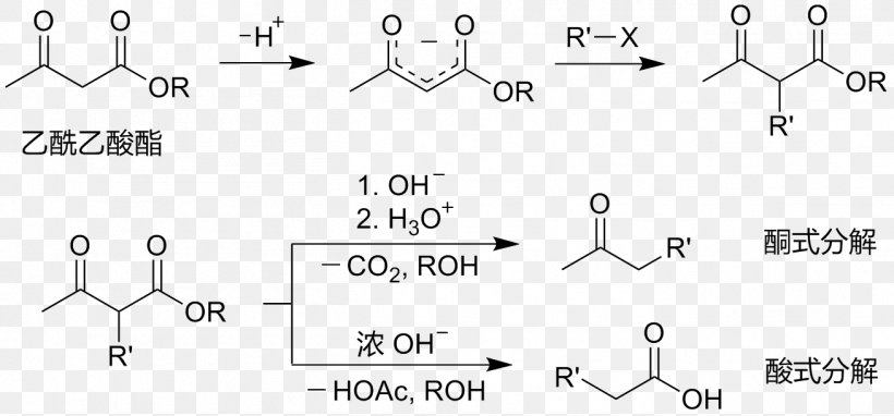 Acetoacetic Ester Synthesis Ethyl Acetoacetate Acetoacetic Acid Ethyl Acetate, PNG, 1309x610px, Acetoacetic Ester Synthesis, Acetic Acid, Acetoacetic Acid, Acetyl Group, Acetylation Download Free