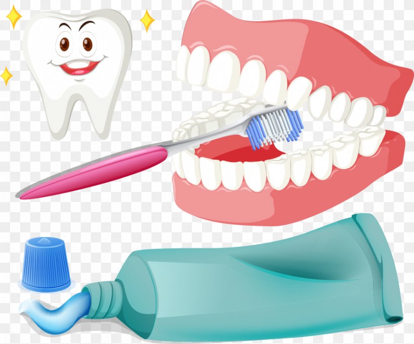 Tooth Brushing Toothbrush Illustration, PNG, 879x730px, Tooth Brushing, Brush, Health Beauty, Jaw, Mouth Download Free