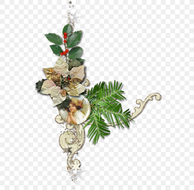 Christmas Ornament Holiday Happiness Love, PNG, 552x800px, Christmas, Alegria, Blog, Branch, Christmas Decoration Download Free