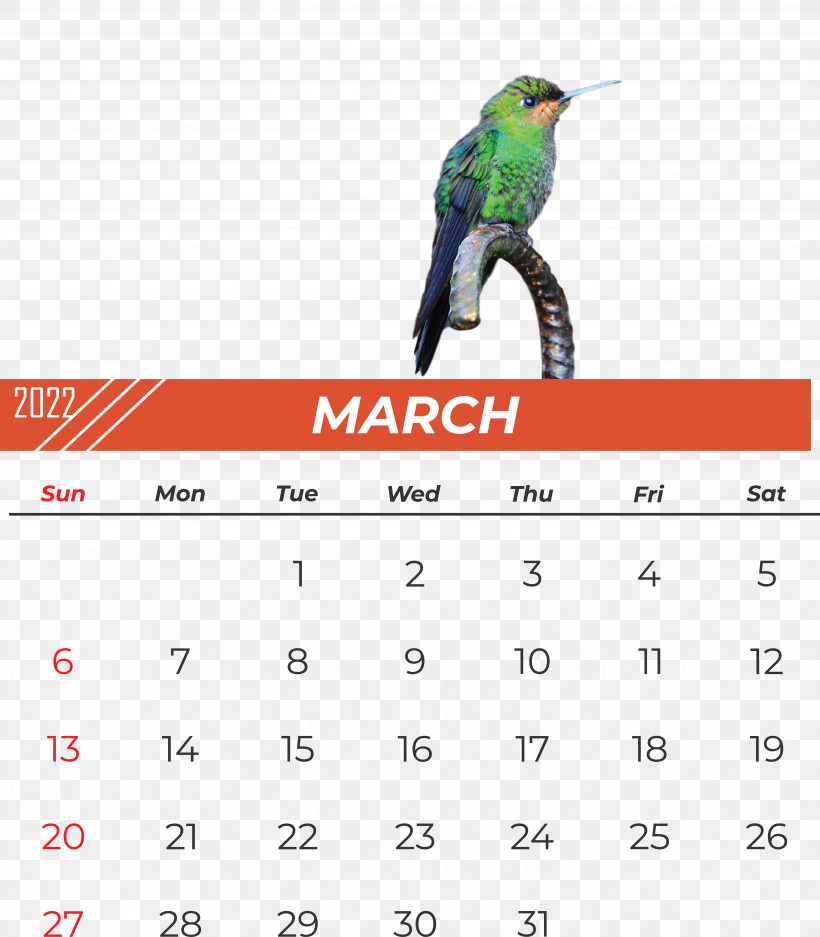 Birds Calendar Beak Font Meter, PNG, 5607x6408px, Birds, Beak, Biology, Calendar, Meter Download Free