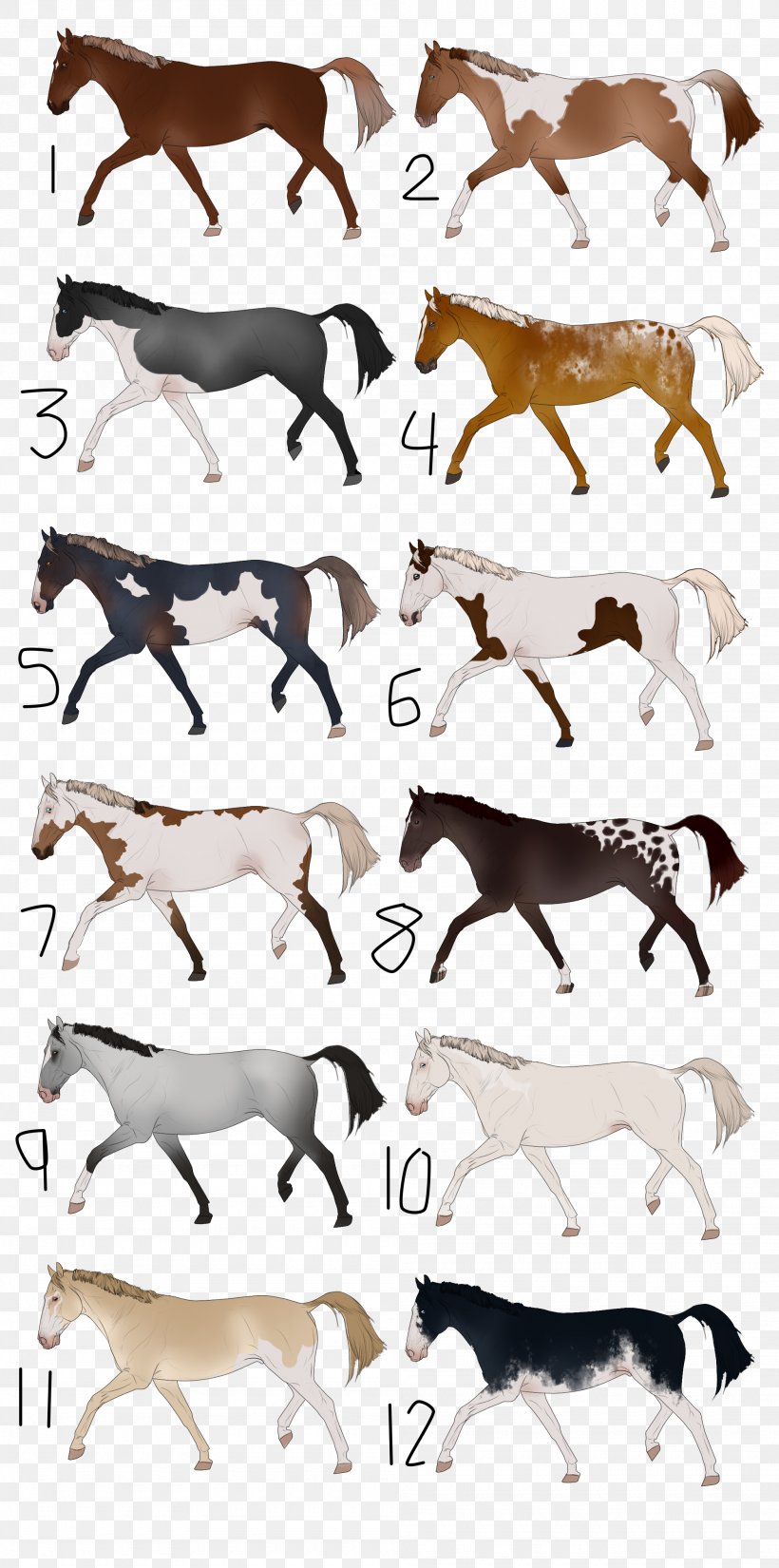 Canidae Horse Dog Mammal Clip Art, PNG, 2000x4025px, Canidae, Carnivoran, Dog, Dog Like Mammal, Fauna Download Free
