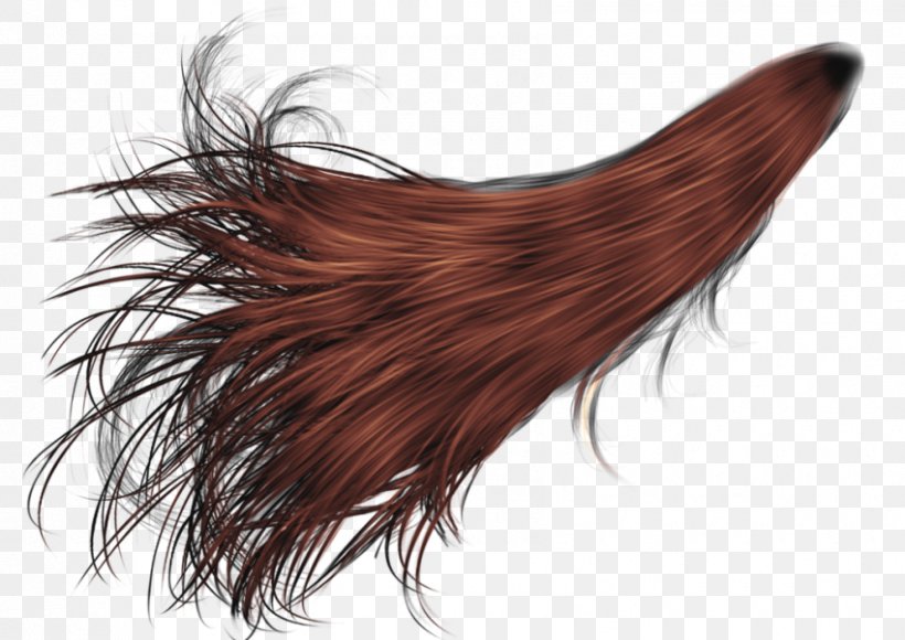 Hairstyle Red Hair Blue Hair Png 850x602px Hair