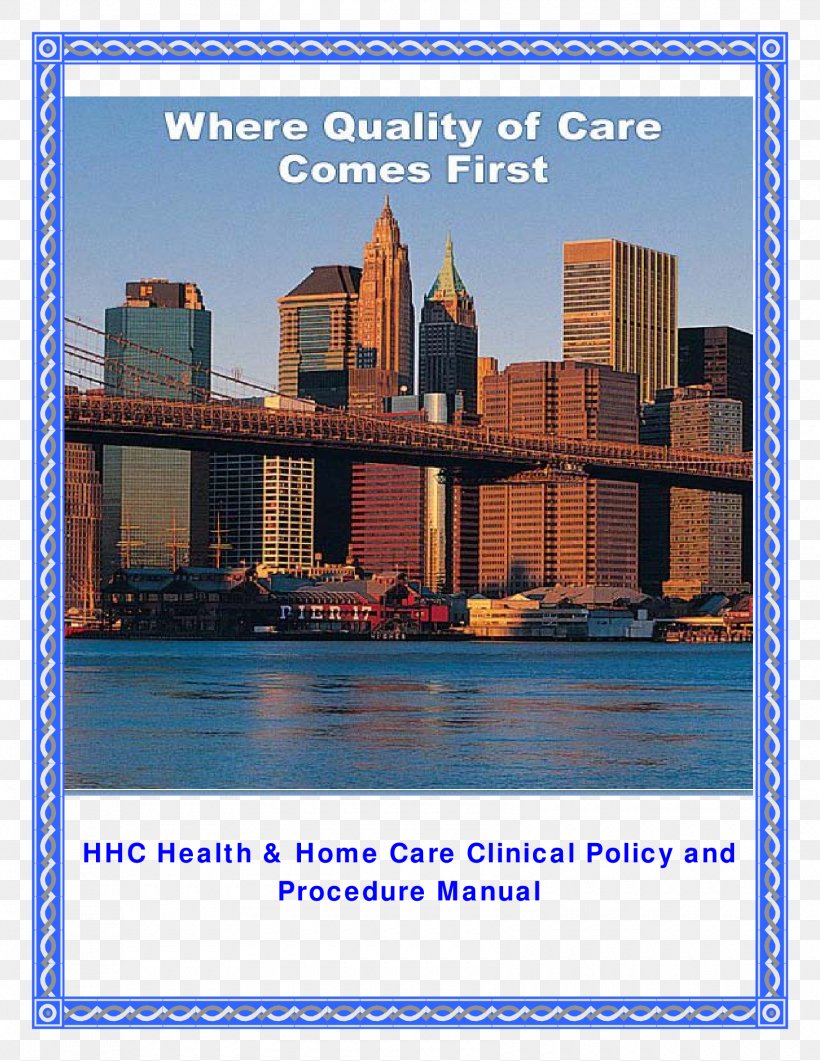 Health Care Home Care Service Clinic Product Manuals, PNG, 1700x2200px, Health Care, Bridge, Clinic, Diabetes Care, Diabetes Mellitus Download Free