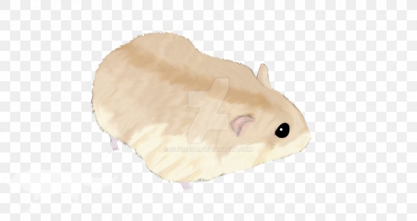Rodent Hamster Mouse Rat Murids, PNG, 1600x850px, Rodent, Animal, Animal Figure, Fauna, Hamster Download Free