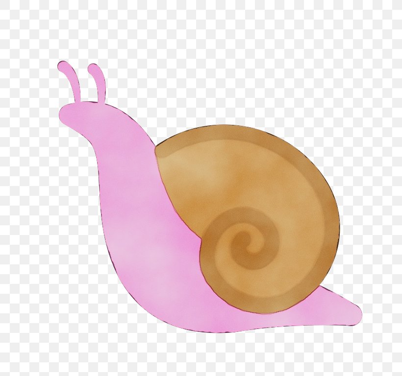Snail Snails And Slugs Pink Sea Snail, PNG, 768x768px, Watercolor, Paint, Pink, Sea Snail, Snail Download Free