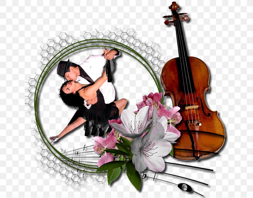 Violone Violin Viola Cello Double Bass, PNG, 660x641px, Watercolor, Cartoon, Flower, Frame, Heart Download Free