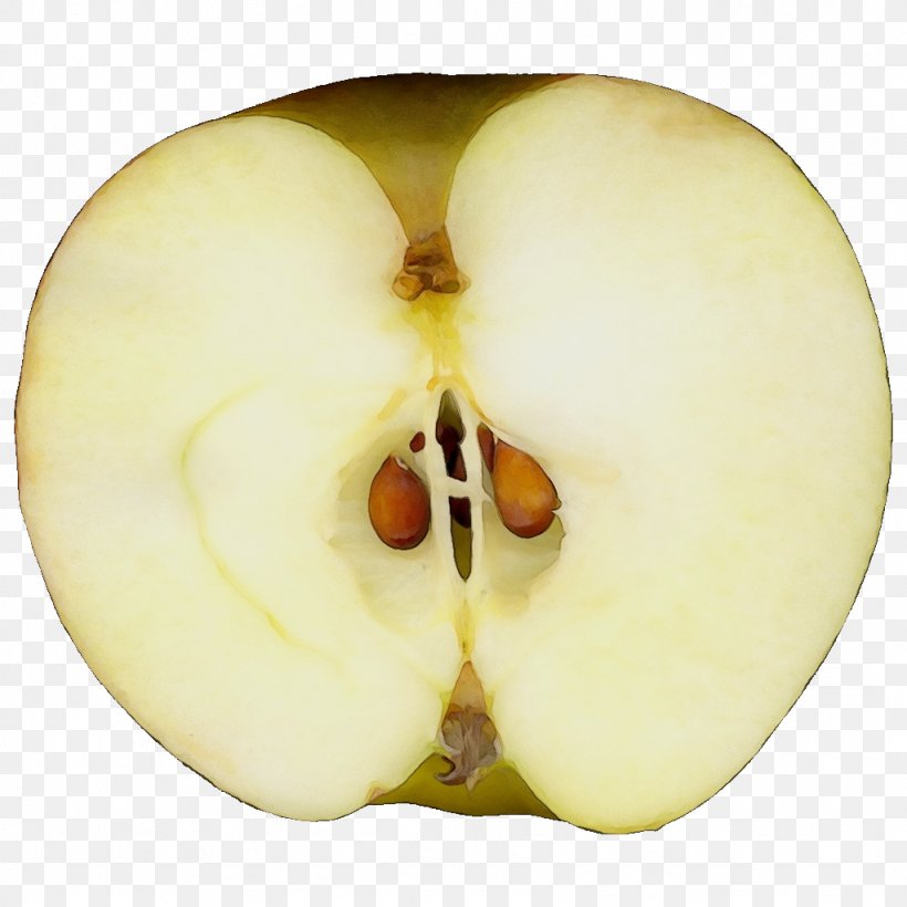 Apple Nose Yellow Fruit Plant, PNG, 1024x1024px, Watercolor, Apple, Food, Fruit, Malus Download Free