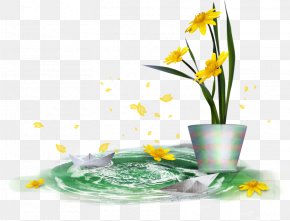 Mimosa - Blog Desktop Wallpaper Clip Art PNG
