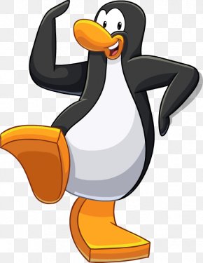Penguin - Club Penguin Wikia Image PNG