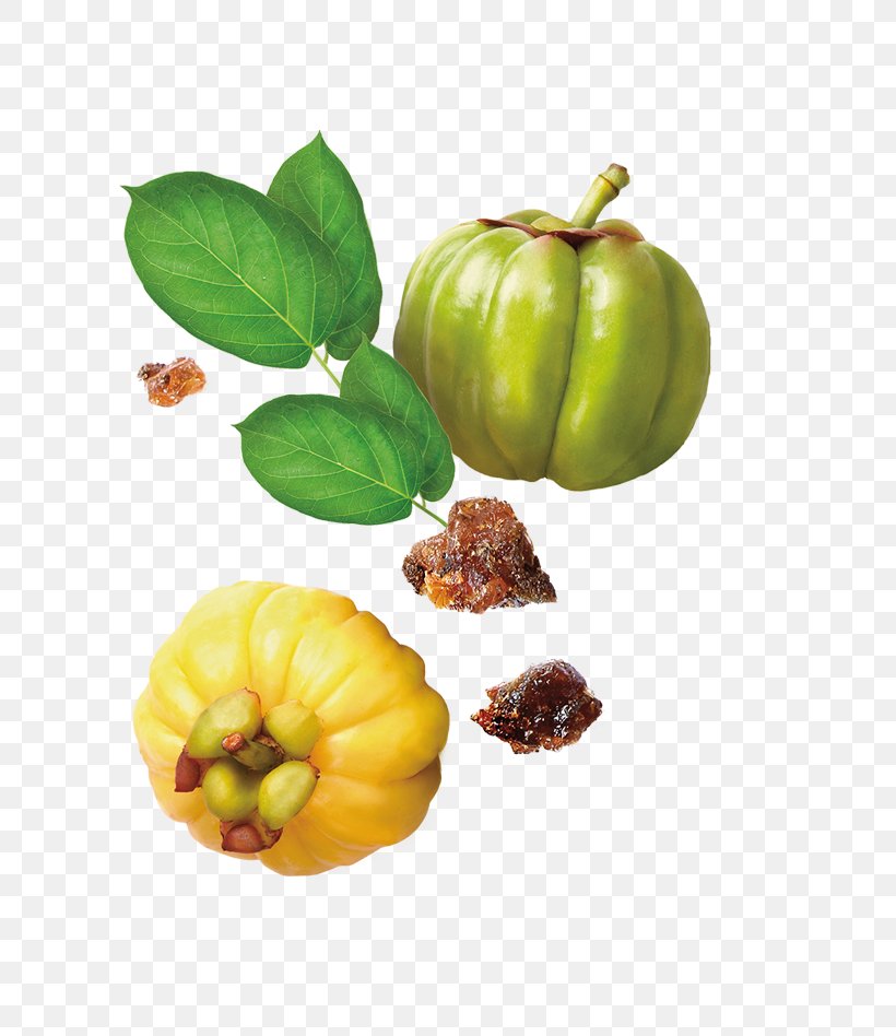 Dietary Supplement Garcinia Cambogia The Himalaya Drug Company Himalaya Ayurslim Weight Loss, PNG, 800x948px, Dietary Supplement, Common Fig, Extract, Flower, Flowering Plant Download Free