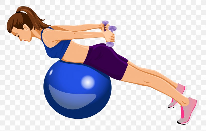 Exercise Balls Yoga & Pilates Mats Medicine Balls, PNG, 2598x1654px, Watercolor, Cartoon, Flower, Frame, Heart Download Free