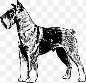 Miniature Schnauzer Giant Schnauzer Standard Schnauzer German Pinscher PNG