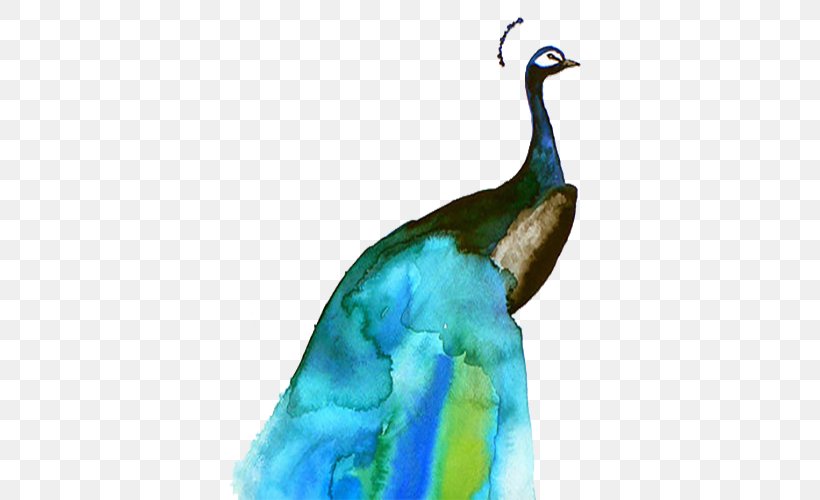 Bird Watercolor Painting Paper Illustration, PNG, 500x500px, Bird, Art, Beak, Canvas, Color Download Free