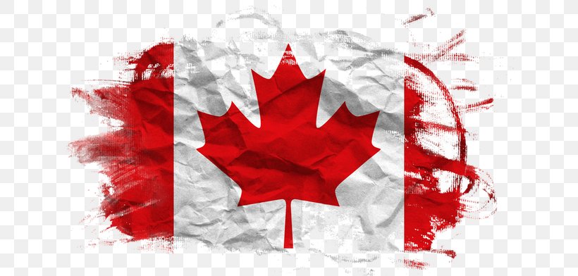 Flag Of Canada Italy Paper, PNG, 640x392px, Canada, Europe, Flag, Flag Of Canada, Flag Of Italy Download Free
