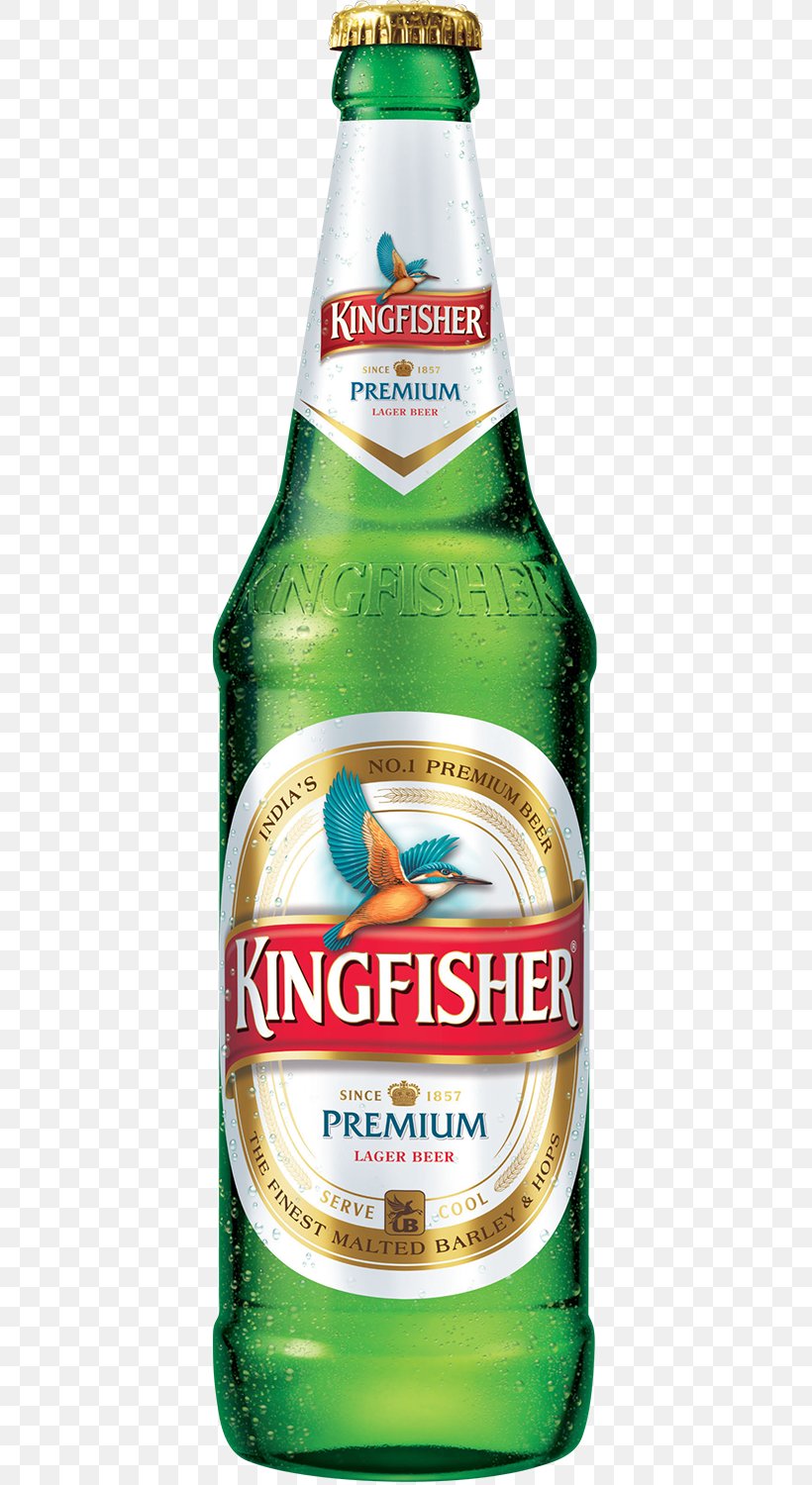 Lager Beer In India Kingfisher Distilled Beverage, PNG, 600x1500px, Lager, Alcohol By Volume, Alcoholic Beverage, Alcoholic Drink, Beer Download Free