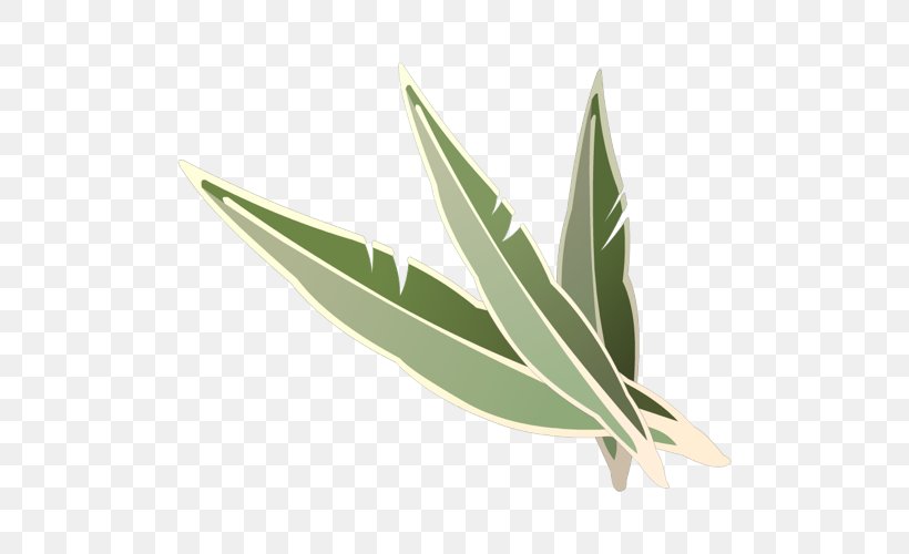 Leaf, PNG, 500x500px, Leaf, Grass, Plant Download Free