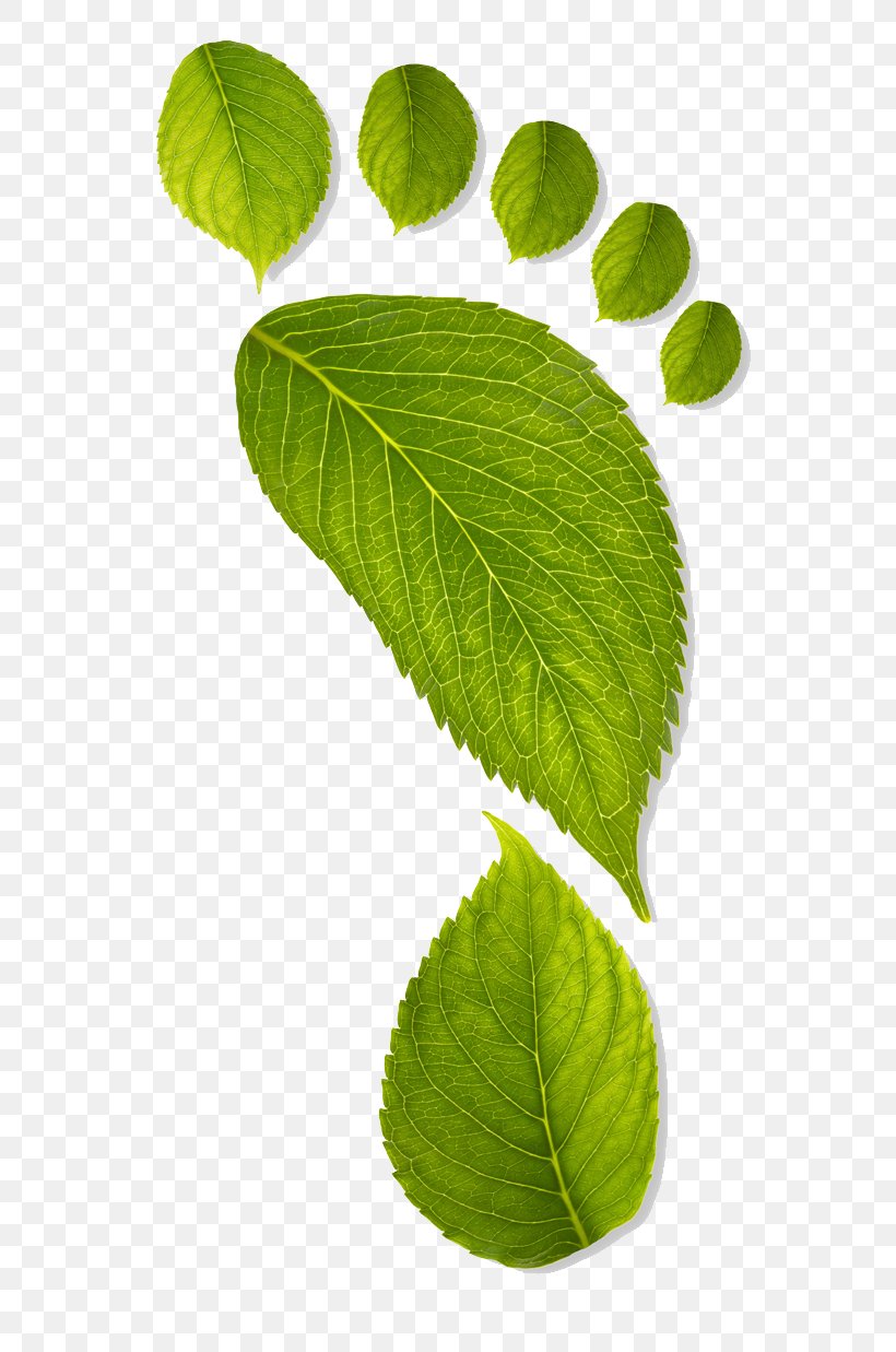 Earth Environmentally Friendly Carbon Footprint Sustainability Green, PNG, 720x1237px, Earth, Business, Carbon Footprint, Conservation, Ecological Footprint Download Free
