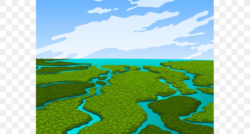 Everglades Pantanal Wetland Ecology Clip Art, PNG, 583x438px, Everglades, Airboat, Bedroom, Biome, Cattail Download Free