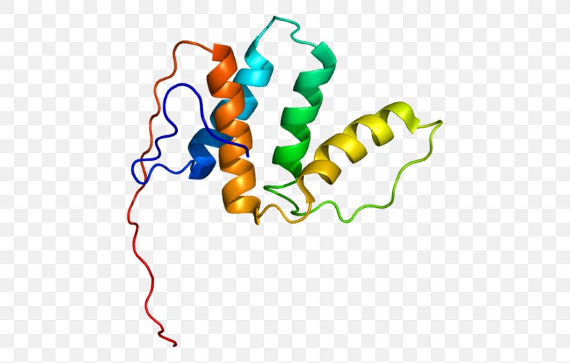 PECI Enoyl CoA Isomerase Enzyme Gene, PNG, 500x522px, Watercolor, Cartoon, Flower, Frame, Heart Download Free