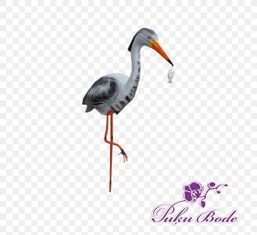 Stork Crane Bird Beak, PNG, 715x749px, Stork, Beak, Bird, Ciconiiformes, Crane Download Free