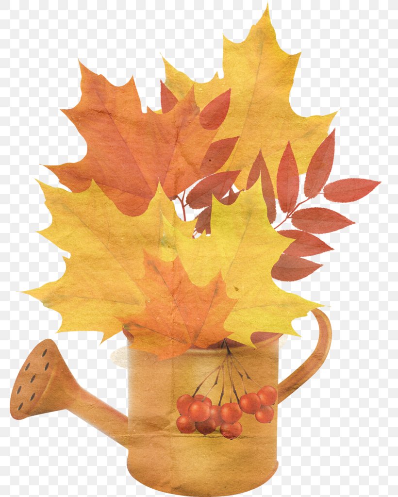 Autumn Leaf Color, PNG, 780x1024px, Autumn, Computer Graphics, Drawing, Graphic Arts, Leaf Download Free