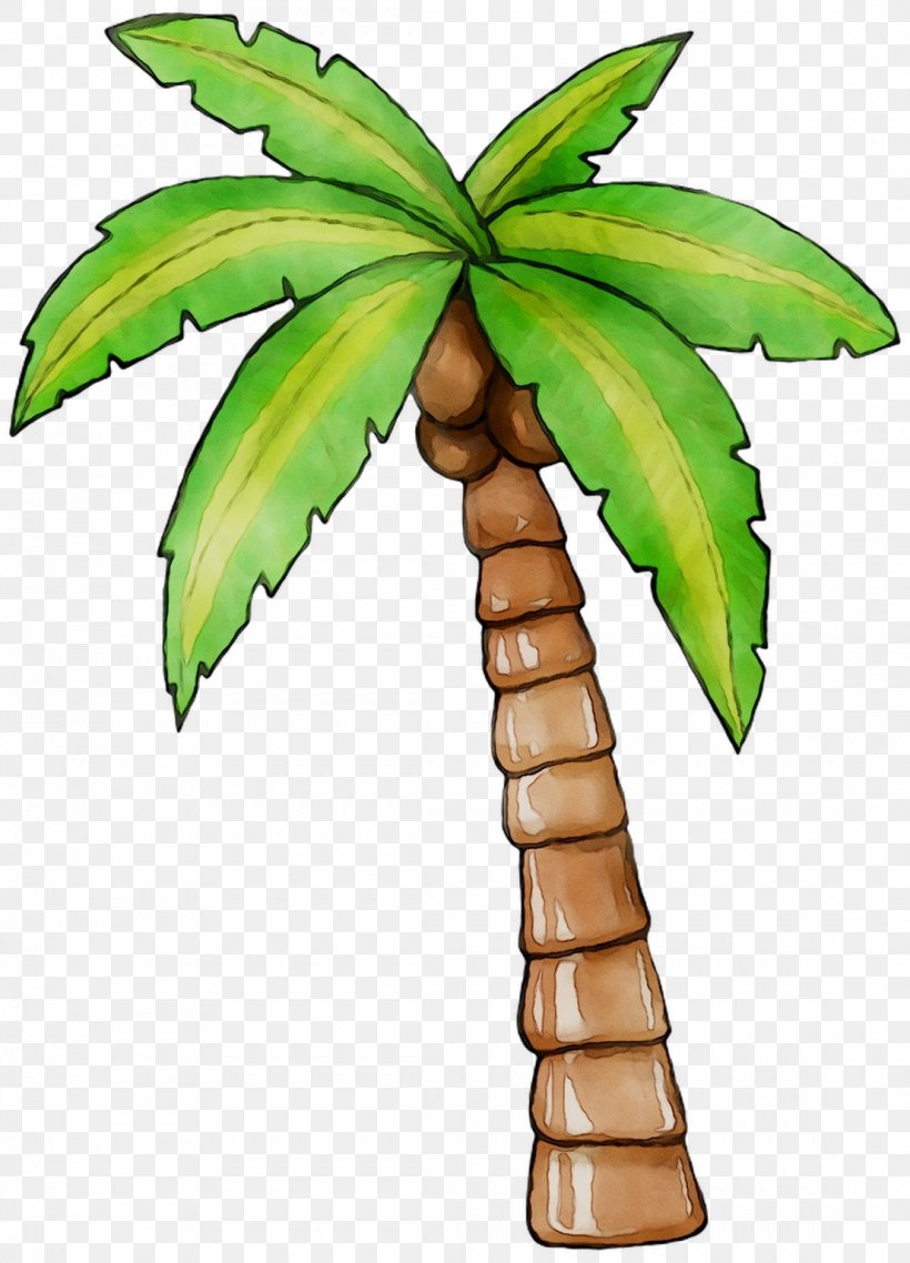 Coconut Palm Trees Leaf Plant Stem Plants, PNG, 1107x1537px, Coconut, Arecales, Flower, Flowering Plant, Flowerpot Download Free
