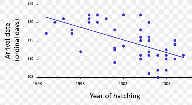 Graph Of A Function Black-tailed Godwit Plot Bird Migration, PNG, 1244x680px, Graph Of A Function, Animal, Animal Migration, Bar Chart, Bird Download Free