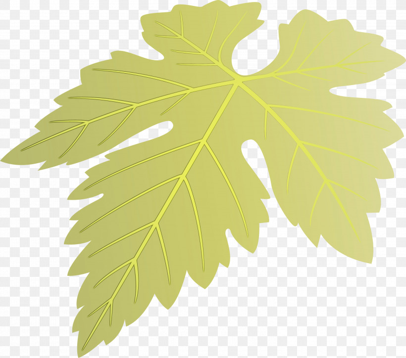 Maple Leaf, PNG, 3000x2651px, Grapes Leaf, Black Maple, Flower, Grape Leaves, Leaf Download Free