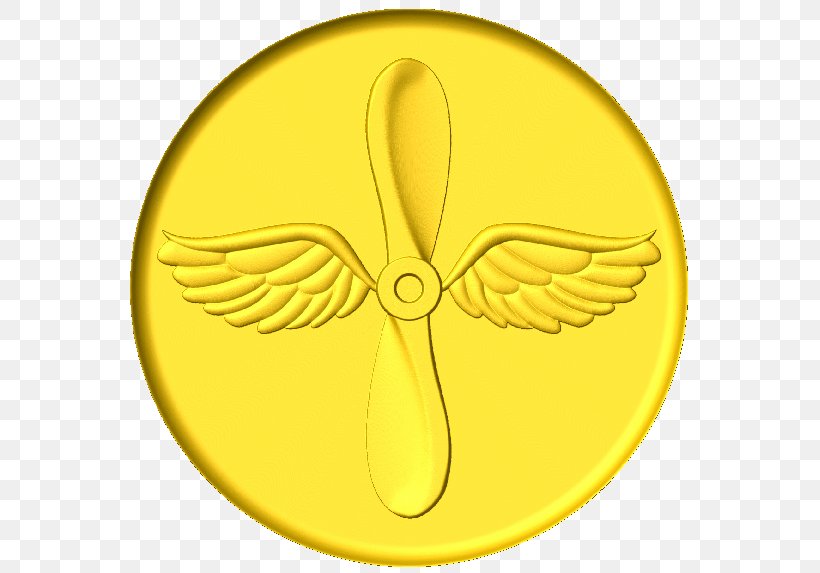 Organism Symbol, PNG, 573x573px, Organism, Symbol, Yellow Download Free