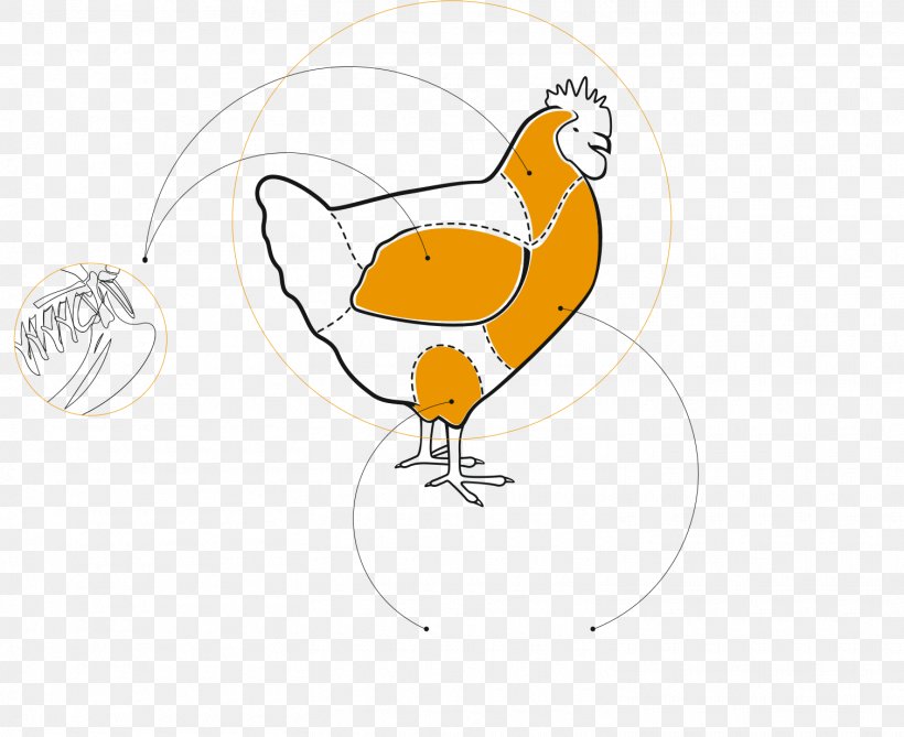 Rooster Drawing /m/02csf Clip Art, PNG, 1510x1232px, Rooster, Art, Artwork, Beak, Bird Download Free