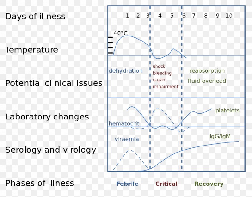 Dengue Virus Tropical Disease Infection, PNG, 978x768px, Dengue, Area, Course, Dengue Virus, Diagram Download Free