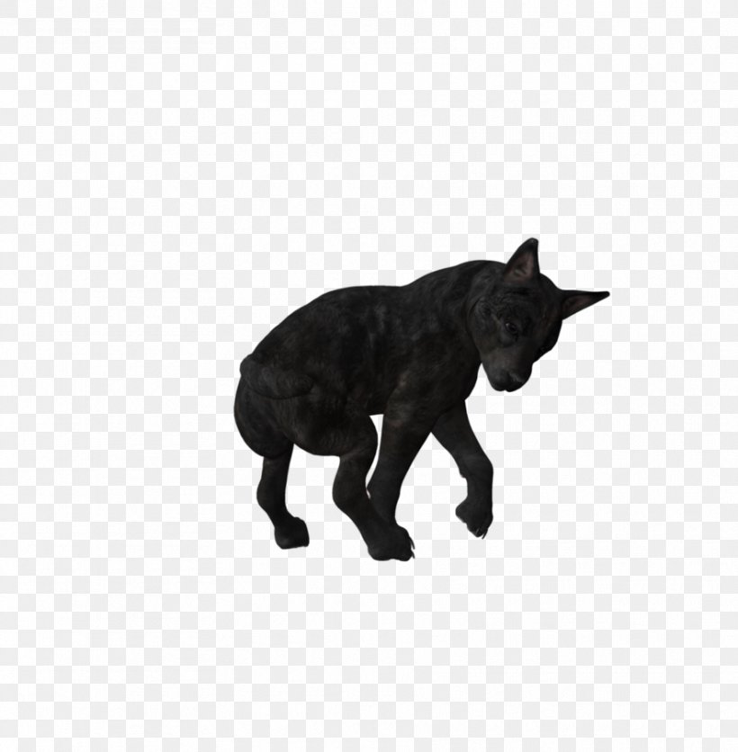 Dog Puppy Black Wolf Canidae, PNG, 885x903px, Dog, Animal, Animal Figure, Black Wolf, Canidae Download Free
