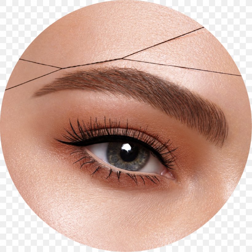 Eyelash Extensions Eyebrow Beauty Parlour Hair Threading, PNG, 834x834px, Eyelash Extensions, Beauty, Beauty Parlour, Brown, Cheek Download Free