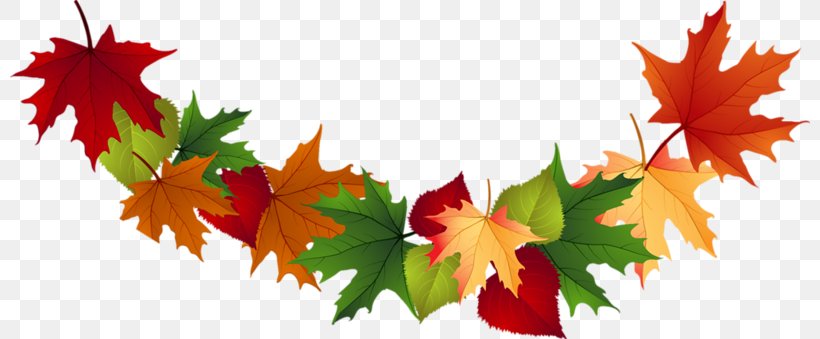 Image Autumn Leaf Painting, PNG, 800x339px, Autumn, Art, Flowering Plant, Leaf, Maple Leaf Download Free
