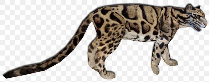 Wildcat Ocelot Cheetah Leopard, PNG, 1004x398px, Cat, Animal, Animal Figure, Big Cat, Big Cats Download Free
