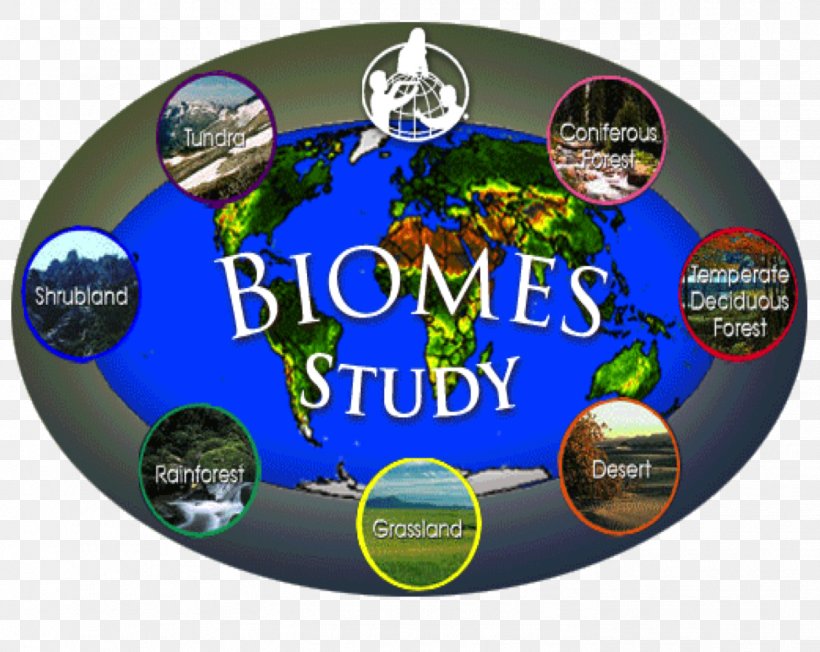 Biome Temperate Grasslands, Savannas, And Shrublands Aquatic Ecosystem Ecology, PNG, 1413x1125px, Biome, Abiotic Component, Aquatic Ecosystem, Brand, Climate Download Free