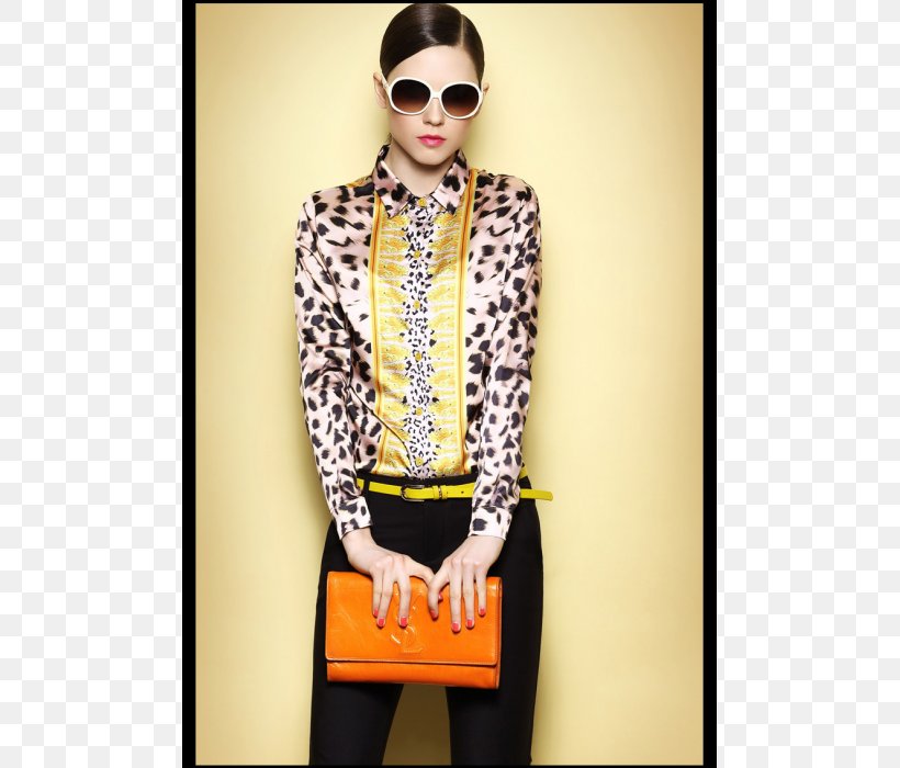 Blouse Animal Print Fashion Leopard Collar, PNG, 700x700px, Blouse, Animal Print, Armeria Maritima, Brand, Clothing Download Free